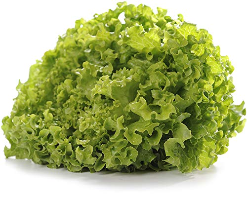 amorebio Salat Batavia rot/grün (1 x 6 Stk) von amorebio