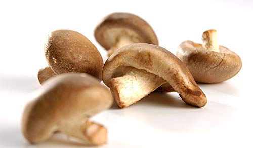 Obst & Gemüse Bio Shiitake-Pilze (1 x 1000 gr) von amorebio