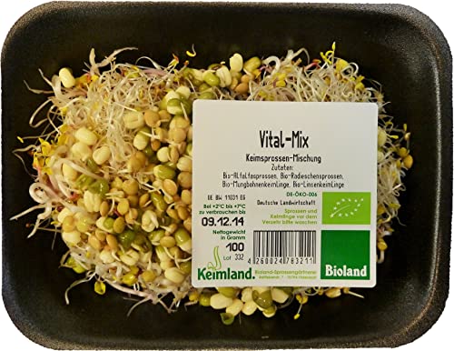Obst & Gemüse Bio Vital-Mix samenfest (6 x 100 gr) von amorebio