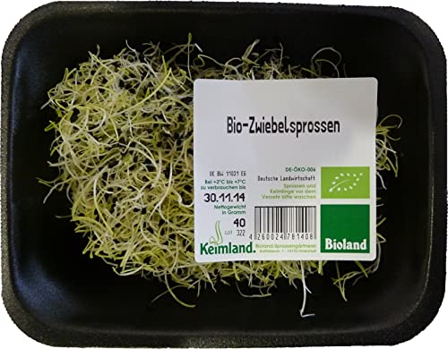 Zwiebelsprossen 6 x 40 gr von amorebio