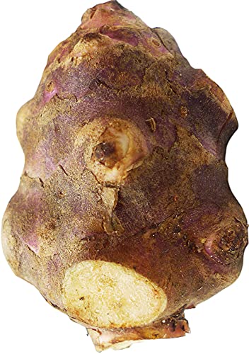 Topinambur 2 x 1 kg von amorebio