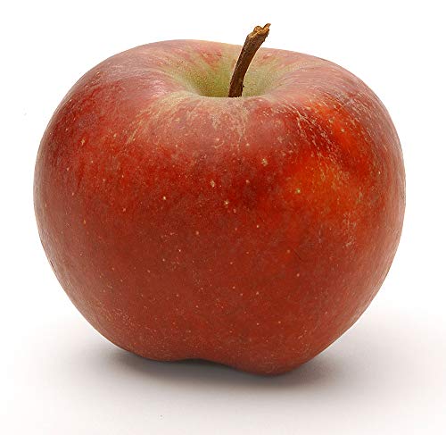 Apfel Gala 6 x 1 kg von amorebio
