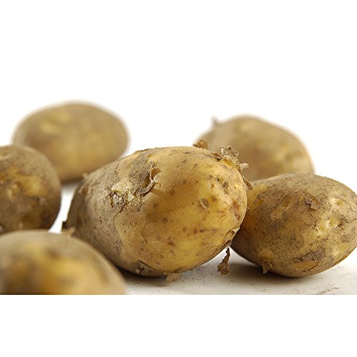 amorebio Frühkartoffeln festkochend (1 x 6000 gr) von amorebio