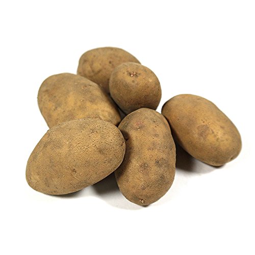 Kartoffeln festkochend 2 x 1 kg von COXZD