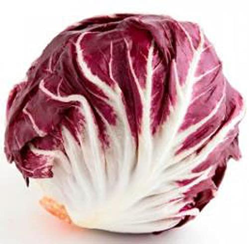 amorebio Radicchio (1 x 6000 gr) von amorebio