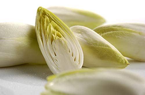 Salat Chicoree 6 x 1 kg von amorebio