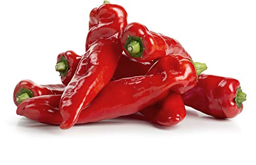 Spitzpaprika rot/gelb Ramiro 2 x 1 kg von amorebio