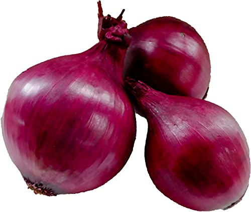 amorebio Zwiebeln rot (1 x 2000 gr) von amorebioRinTalen