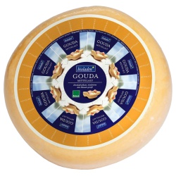 Gouda, mittelalt von bioladen*