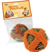 Quiko Fitness Foodball Karotte für Nager - 100 g von bitiba