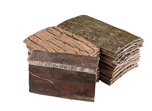cn herb 250 g Dickhäuter Eucommia Einweichen Wein Material Bulk Schwefelfrei Glutenfrei cn herb 250 g Dickhäuter Eucommia Einweichen Wein Material Bulk Schwefelfrei Glutenfrei von cn herb