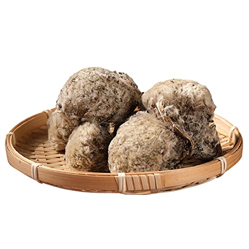 cn herb Tibetische tibetische Schneelotus, Kamelie, 250 g, gute Masse cn herb Tibetische tibetische Schneelotus, Kamelie, 250 g, gute Masse von cn herb