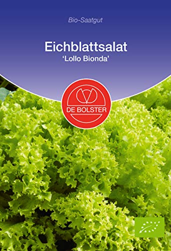 De Bolster 11836 Eichblattsalat Lollo Bionda (Bio-Eichblattsalatsamen) von de Bolster