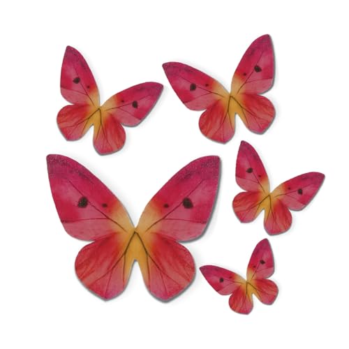 Dekora - 79 Essbare Schmetterlinge für Torten oder Cupcakes - Tortendeko Essbar für Geburtstage und Andere Anlässe - Esspapier Schmetterlinge in Rosa - Größe 3-6 cm Dekora - 79 Essbare Schmetterlinge für Torten oder Cupcakes - Tortendeko Essbar für Geburtstage und Andere Anlässe - Esspapier Schmetterlinge in Rosa - Größe 3-6 cm von dekora