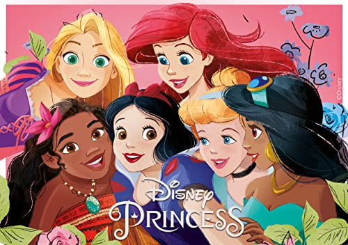 Disney Prinzessinnen - Tortendeko - Essbares Kuchendekoration für Geburtstags - Prinzessinnen-Torte, Kindergeburtstag, Geburtstagsdeko A5 von dekora