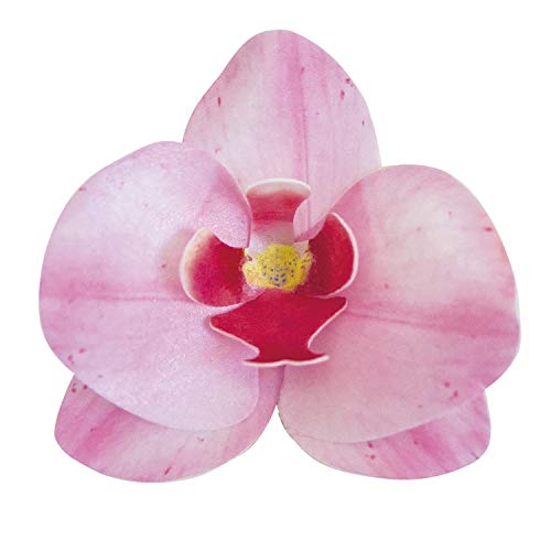 dekora 126066 Orchideen Tortendeko 10 Essbare Blumen für Torte aus Esspapier-Rosa-7,5-8,5 cm von dekora