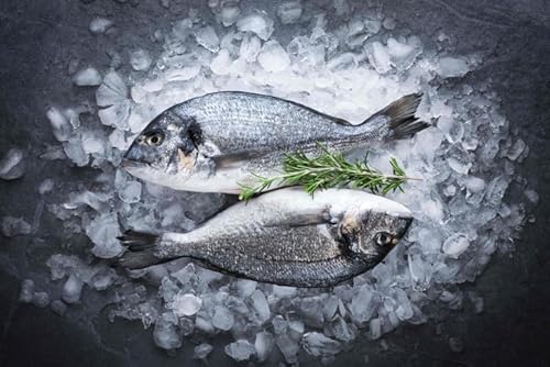 Dorade | Ganze Dorade | Ausgenommen und geschuppt | Gekühlter Expressversand | 1000g | Beste Qualität | vakuumverpackt | delishopper von delishopper