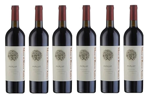 6x 0,75l - 2021er - di Camillo Vini - Musa di Rocca Antica - Merlot - Terre di Chieti I.G.P. - Abruzzo - Italien - Rotwein trocken von di Camillo Vini