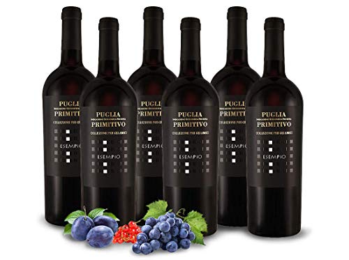 Primitivo ESEMPIO | Vigneti del Salento - Farnese Vini | Italien-Apulien | Vorteilspaket (6x 0,75l) Rotwein-trocken von Ebrosia