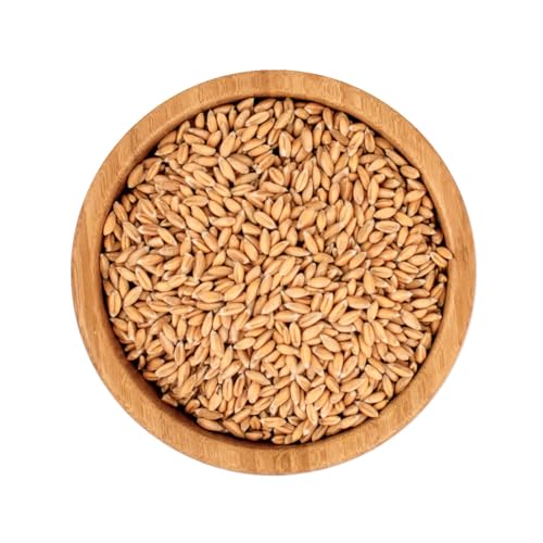 Bio Dinkel | ab 500g Bio Dinkel | ab 500g von ecoterra