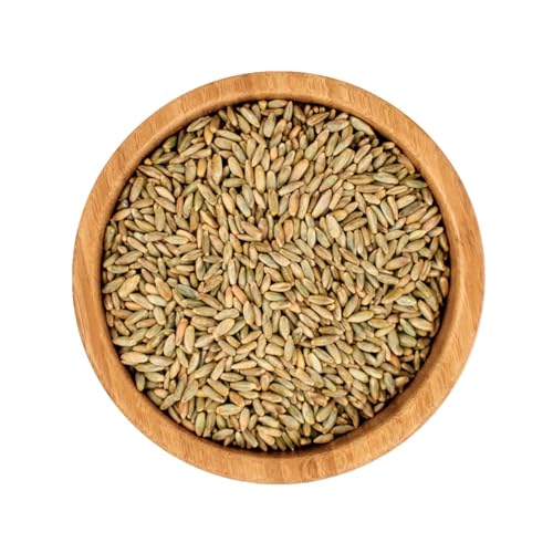 Bio Roggen | ab 500g Bio Roggen | ab 500g von ecoterra