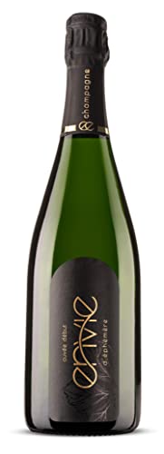 en vie d'éphémère Champagne | Champagner aus nachhaltigem Anbau, vegan, trocken, brut, fruchtig, 1x0,75l Flasche (1x 0,75l) von en vie d'éphémère