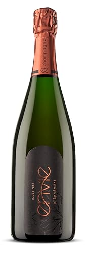 en vie Champagne | Rosé-Champagner aus nachhaltigem Anbau, vegan, trocken, brut, fuchtig (1x 0,75l Flasche) von en vie d'éphémère