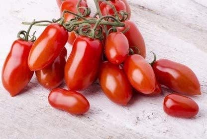 Tomate "San Marzano" Italienische Flaschentomate 10 Samen Tomate "San Marzano" Italienische Flaschentomate 10 Samen von exoticsamen.com PREMIUM QUALITY SEEDS