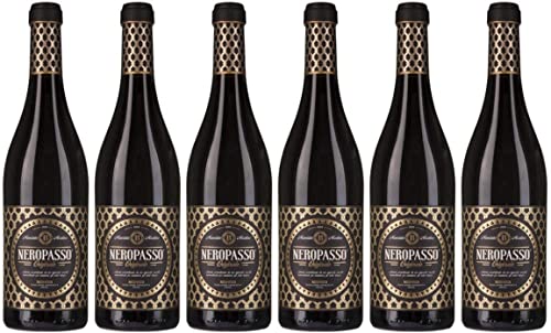 6er Vorteilspaket Rosso Veneto Neropasso IGT 2020 | Rotwein aus Venetien | trocken | 6 x 0,75l | mit Drop Stop Weinausgießer fabelhafte-geschenke von fabelhafte-geschenke