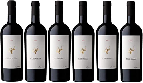 6er Vorteilspaket SETTEBRACCIA ROSSO IGP SALENTO 2019 | Cantina Sampietrana | Rotwein aus Apulien | 6 x 0,75l von fabelhafte-geschenke