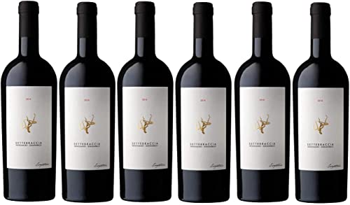 6er Vorteilspaket SETTEBRACCIA ROSSO IGP SALENTO 2019 | Cantina Sampietrana | Rotwein aus Apulien | 6 x 0,75l von fabelhafte-geschenke