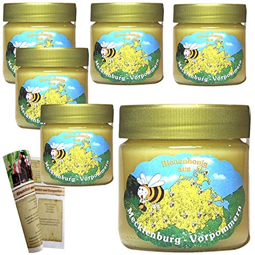 Blütenhonig 6 x 500g | Deutsche Herkunft - Mecklenburg | reiner Honig - direkt vom Imker keine Massenware mit Rezeptheft Blütenhonig 6 x 500g | Deutsche Herkunft - Mecklenburg | reiner Honig - direkt vom Imker keine Massenware mit Rezeptheft von fd feinkost discount