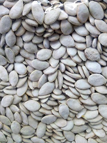 Kürbiskerne geröstet gesalzen 1 kg Beutel Kürbiskerne geröstet gesalzen 1 kg Beutel von frutos secos San blas