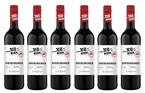 6x 0,75l - "für mich 100% Baden" - Spätburgunder - Qualitätswein Baden - Deutschland - Rotwein trocken von "für mich 100% Genuss"