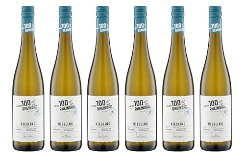 6x 0,75l - "für mich 100% Rheingau" - Riesling feinherb - Qualitätswein Rheingau - Deutschland - Weißwein halbtrocken von "für mich 100% Genuss"