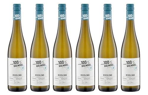 6x 0,75l - "für mich 100% Rheingau" - Riesling feinherb - Qualitätswein Rheingau - Deutschland - Weißwein halbtrocken von "für mich 100% Genuss"