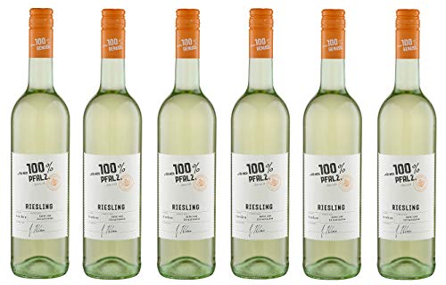 6x 0,75l - 2023er - "für mich 100% Pfalz" - Riesling - Qualitätswein Pfalz - Deutschland - Weißwein trocken von "für mich 100%..."