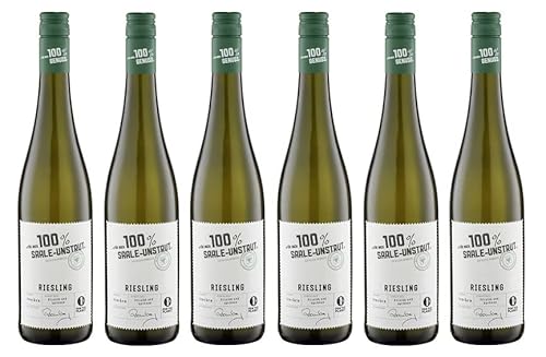 6x 0,75l - 2023er - "für mich 100% Saale-Unstrut" - Riesling - Qualitätswein Saale-Unstrut - Deutschland - Weißwein trocken von "für mich 100%..."