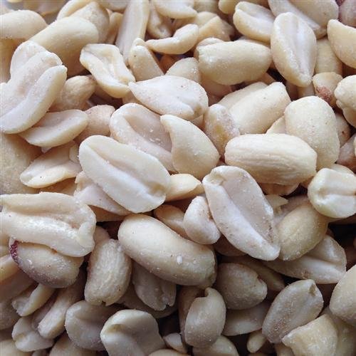 Futterbauer Erdnüsse weiß blanchiert 25 kg ohne Schale ohne Haut Futterbauer Erdnüsse weiß blanchiert 25 kg ohne Schale ohne Haut von Futterbauer