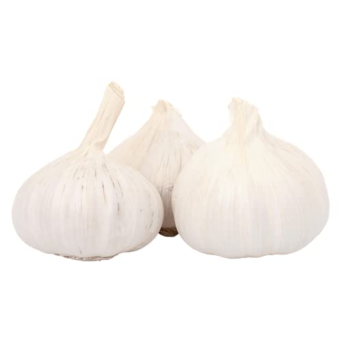 greenist Bio Knoblauch trocken Demeter 0,5kg Frischesortiment 1er Pack (1 x 500 g) von greenist
