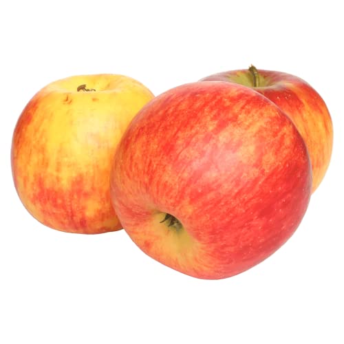 greenist frische Bio Apfel Topaz/ Topas 1er Pack (1 x 1 kg) Äpfel von greenist