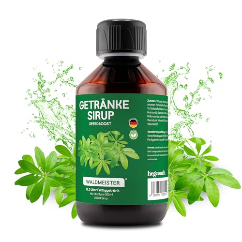 hCGC Immunsystem Sirup - SpeedBoost 250ml, Vegan - Zuckerfreies Getränkekonzentrat für 12,5L Fertiggetränk - Fruchtsirup Immunsystem Booster mit Vitaminen & L-Carnitin | Waldmeister von hCGC