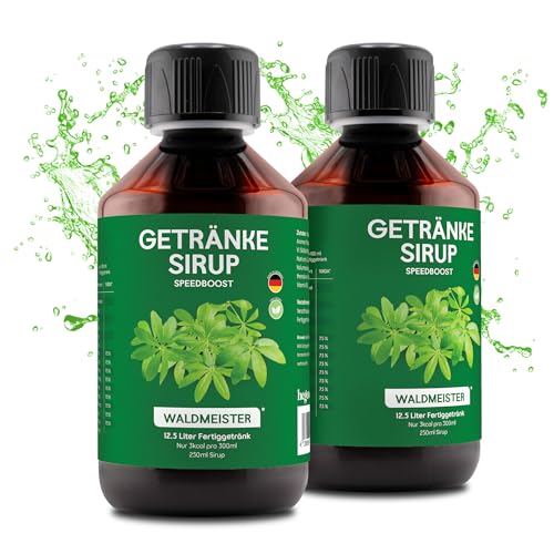 hCGC Immunsystem Sirup - SpeedBoost 2x 250ml, Vegan - Zuckerfreies Getränkekonzentrat für 12,5L Fertiggetränk - Fruchtsirup Immunsystem Booster mit Vitaminen & L-Carnitin | Waldmeister von hCGC