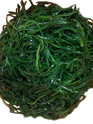 Dried cooked Kombu (1.54kg/3.15lb)70pieces von Hello Seaweed