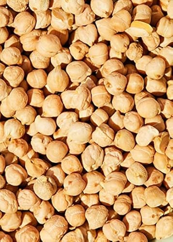 Kichererbsen getrocknet Sack mit 1x 25kg Hülsenfrüchte für Humus Hummus Chickpeas Kichererbsen getrocknet Sack mit 1x 25kg Hülsenfrüchte für Humus Hummus Chickpeas von Kajal