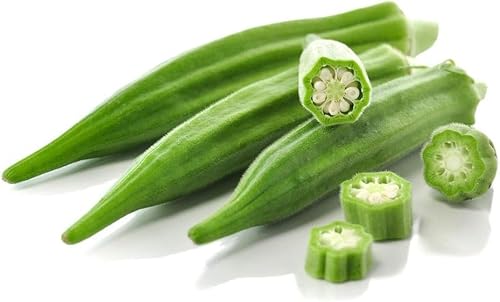 frische Okra Okra Schoten Bhamiya exotisches Gemüse 1 x 1 kg von kajal