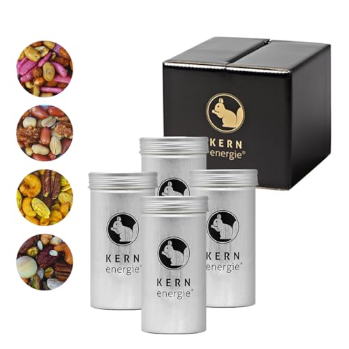 KERNenergie Nuss Geschenkset - Probierset frisch geröstete Nussmischungen - Geschenk für Männer und Frauen - Premium Nuss Geschenk - All Around The World Set 4 würzige Nussmixe als Präsent, 360g von kern-energie