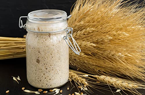 Zertifizierter Bio-Sauerteig-Brotstarter aus San Francisco, UKAS-Labor getestet von Kombuchaorganic® mit gedruckter Anleitung (evtl. nicht in deutscher Sprache) von Kombuchaorganic