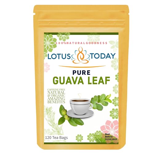 lotustoday Premium Guavenblatt 120 Teebeutel 100% reine Guavenblätter Natürliche Wellness von lotustoday