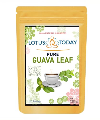 lotustoday Premium Guavenblatt 120 Teebeutel 100% Reine Guavenblätter Natürliches Wellness von lotustoday